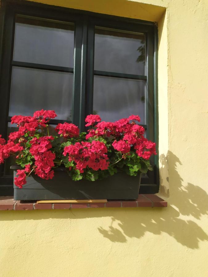 מלון Neuenkirchen auf Rugen Wirtshaus Neuenkirchen מראה חיצוני תמונה